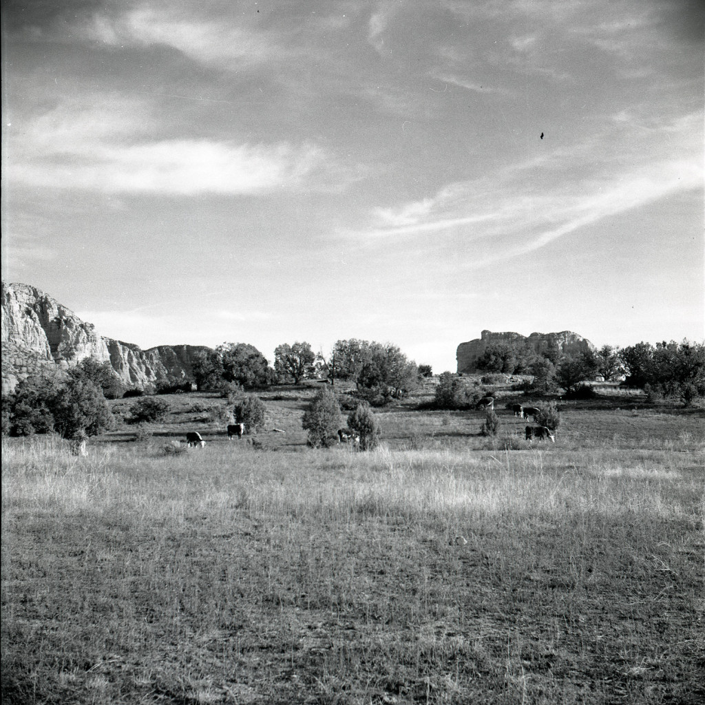 1.Little Horse Park 1957
