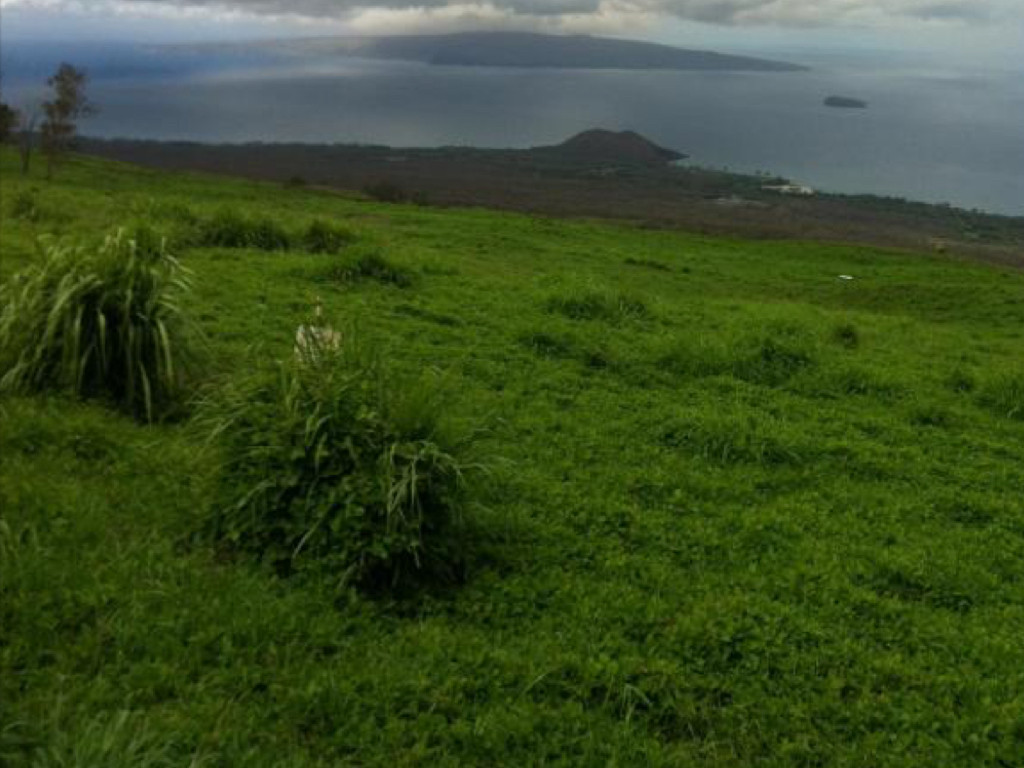 Ulupalakua Ranch.001