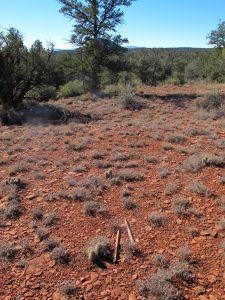 This site is in another study area that has been protected since 1950. The stakes have been pulled up indicating it hasn't been read for a while.