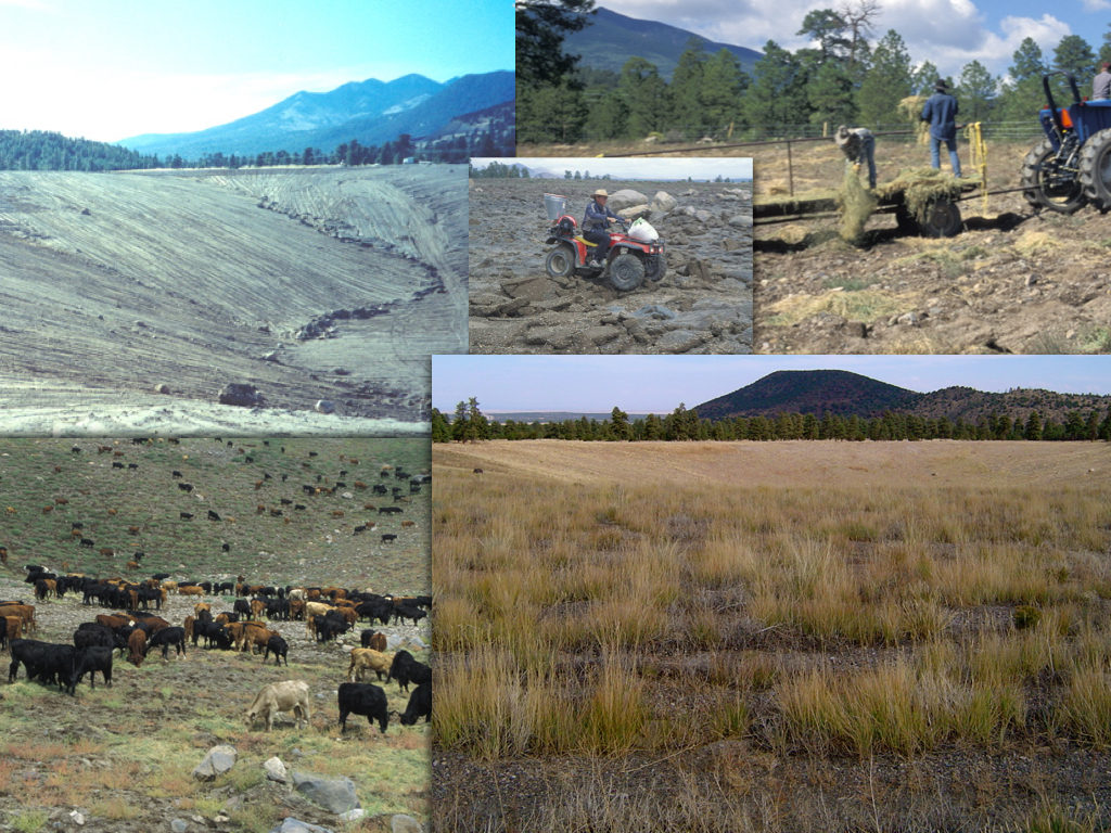 EcoResults Mine Sequence.001