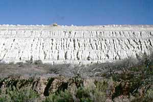 Website pictures 064 (1)