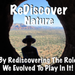 ReDiscover Nature