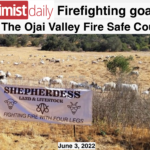 Ojai Valley Firefighting Goats